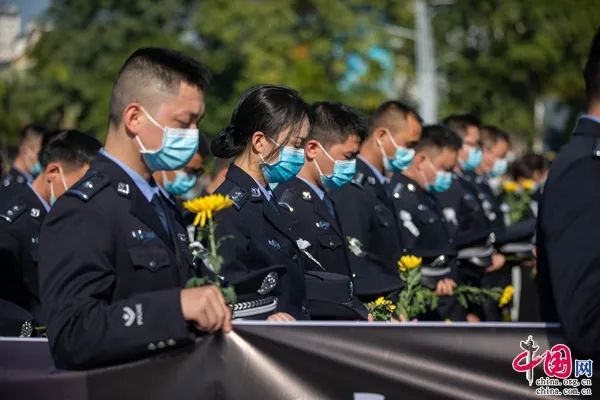 1639029196927740.jpg 146.jpg