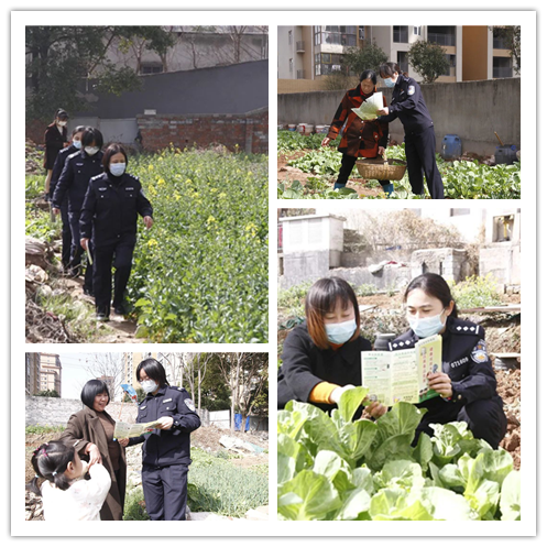 1646899462246816.png 图片1_副本.png