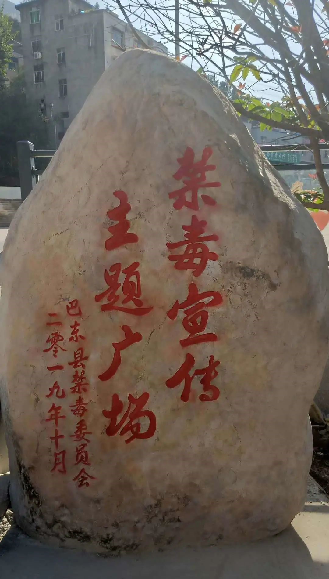 1599710223789530.jpg