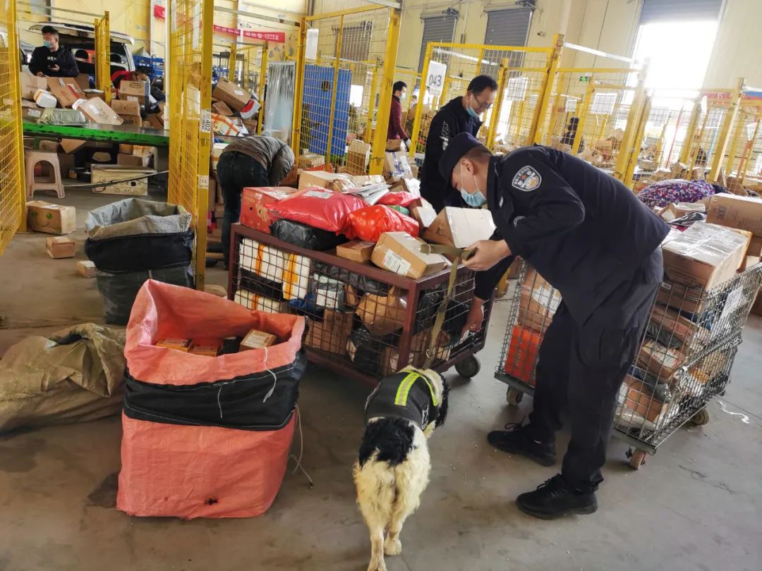 1649208063616809.jpg 1.jpg