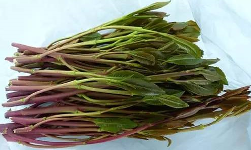 1600220432238633.png 1600220432238633.png