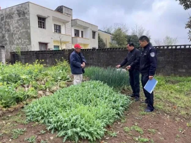 1648802320139809.jpg 640 (3).jpg