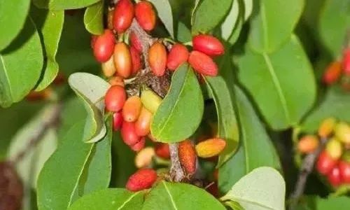 1648802295735969.jpg 640 (4).jpg