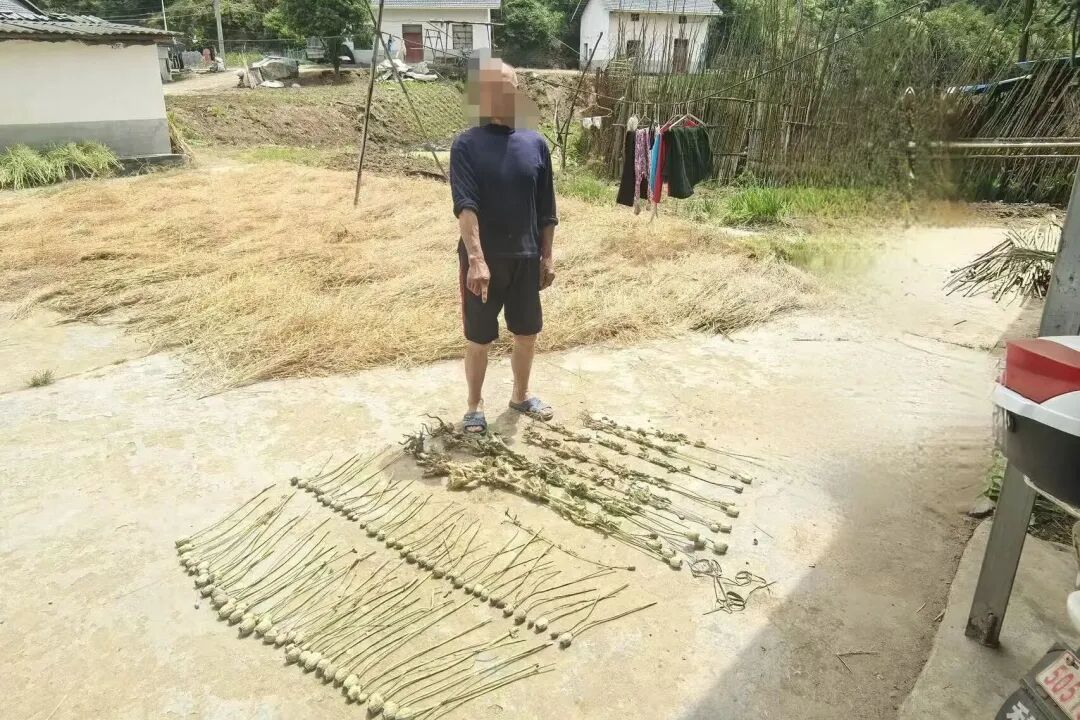 e77e0e232b16d13421ecf8271c480622.jpg